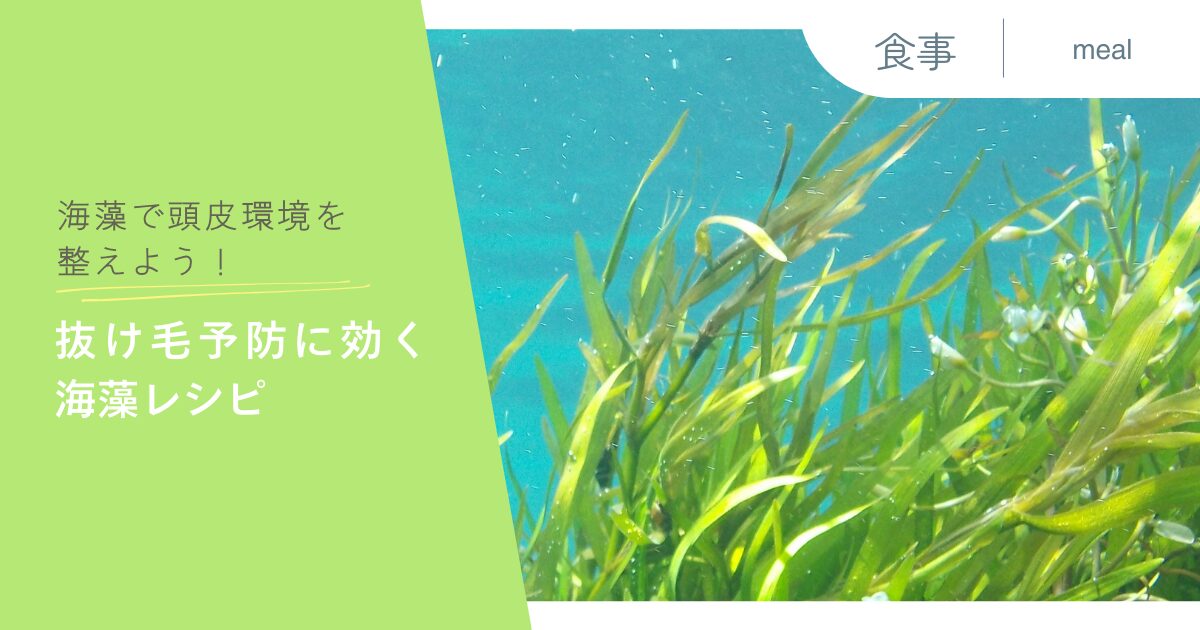 海藻で頭皮環境を整えよう！抜け毛予防に効く海藻レシピ